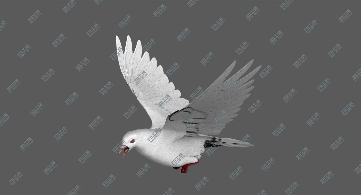 images/goods_img/20210319/White Dove model/5.jpg